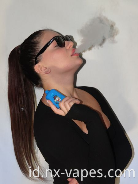 The RandM Digital Box 12000 1